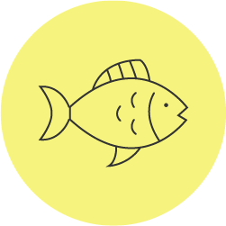 Trancio di Tonno in Olio d'Oliva 4x100 g